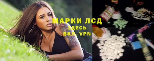 прущие грибы Аркадак