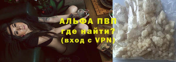 прущие грибы Аркадак