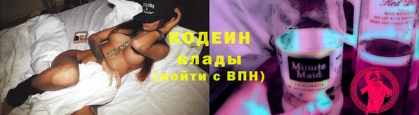 прущие грибы Аркадак