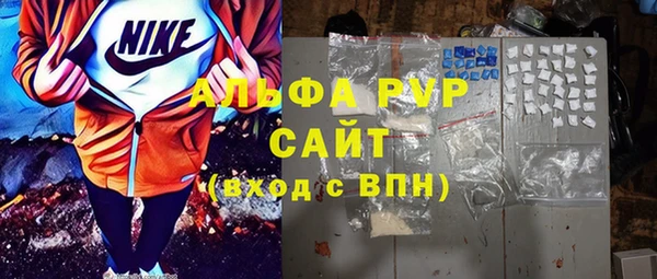 прущие грибы Аркадак