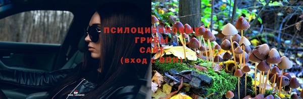 индика Нязепетровск