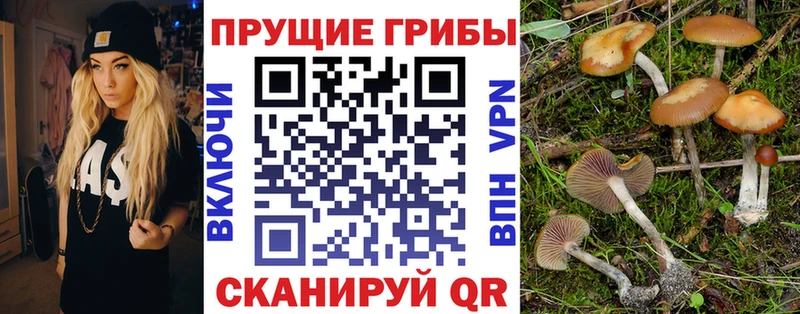 Галлюциногенные грибы мухоморы  Калач-на-Дону 